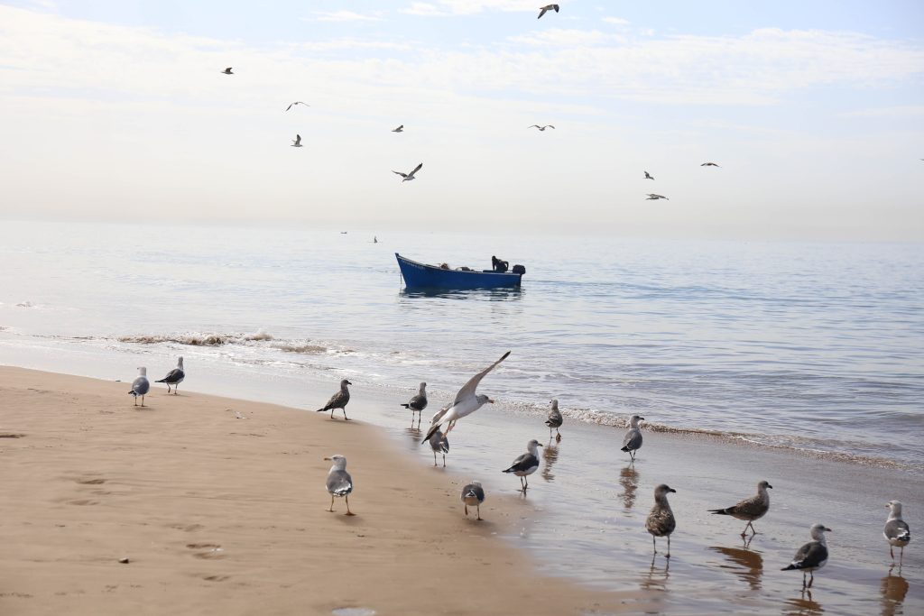 Local fishing boat on the Moroccan shore